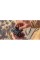 Захист на лінзу GoPro Protective Lens Replacement для GoPro Hero 9/10/11/11 mini (ADCOV-002)