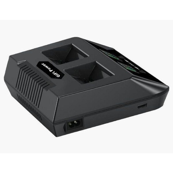 Зарядний пристрій GiFi Power Fast Balance Charger 2in1 (HCHG)
