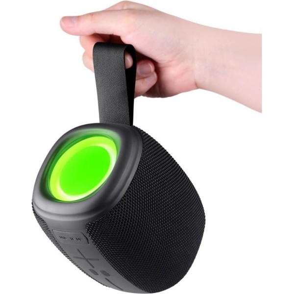 Портативная колонка Defender Enjoy S550 Black (65553)