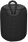 Портативна колонка Canyon 9 TWS 10W Black (CNE-CBTSP9)