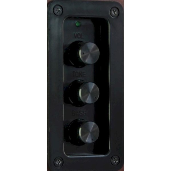 Акустичні колонки Media-Tech Audience HQ 40W Black (MT3143K)