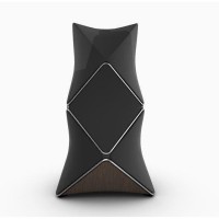 Bang & Olufsen BeoLab 90 Silver-Black