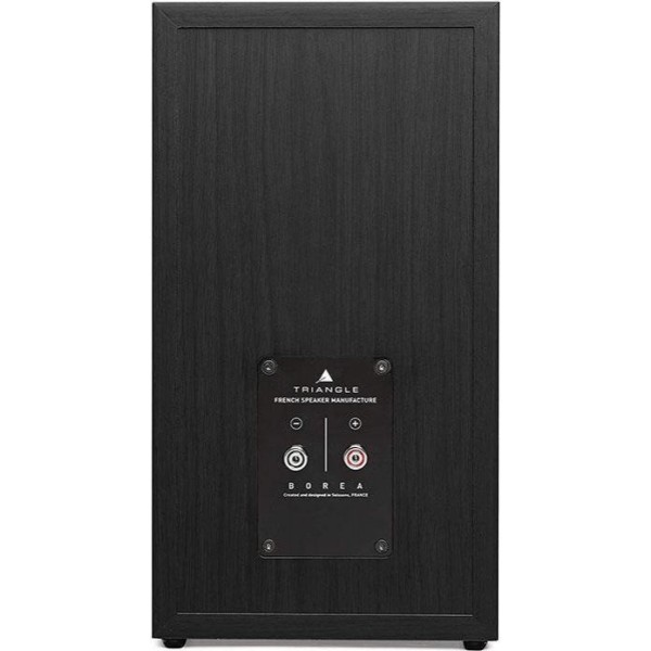 Акустичні колонки Triangle Borea BR03 Connect Black