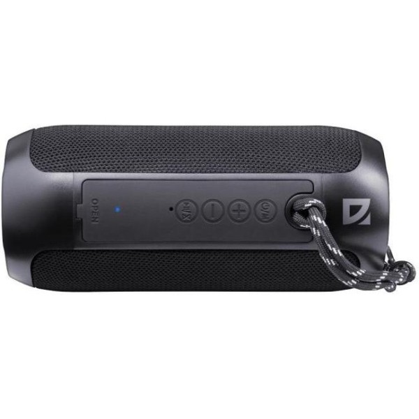 Портативна колонка Defender Enjoy S100 Black (65101)