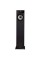 Акустичні колонки Fyne Audio F303 Black Ash