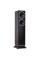 Фронтальні акустичні колонки Fyne Audio F501 Black Oak