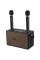 Портативна колонка Kisonli G101 Black