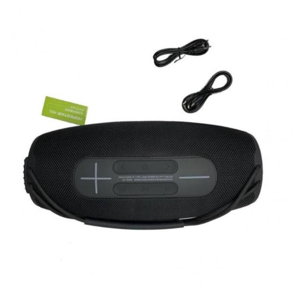Портативна колонка Hopestar H51 Black