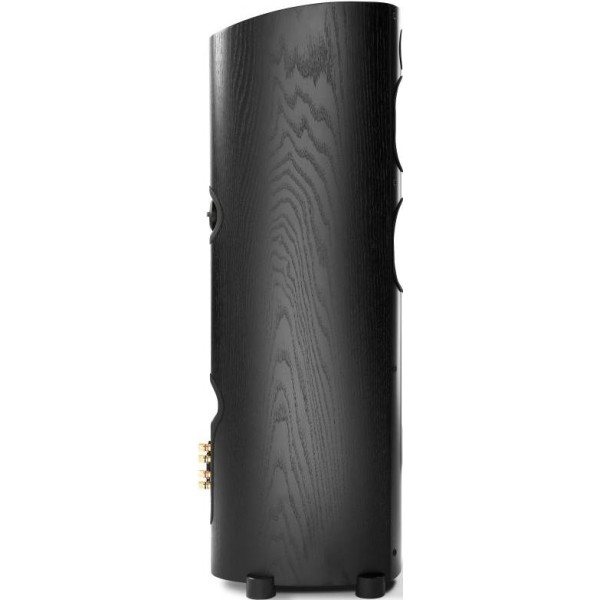 Акустичні колонки PSB Imagine T Tower