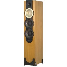 Paradigm Monitor 9