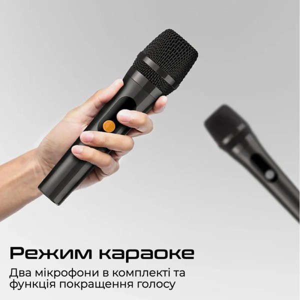 Портативна колонка HiFuture MusicBox 300 Black (musicbox300.black)