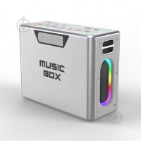 HiFuture MusicBox 100 Silver (musicbox100.silver)