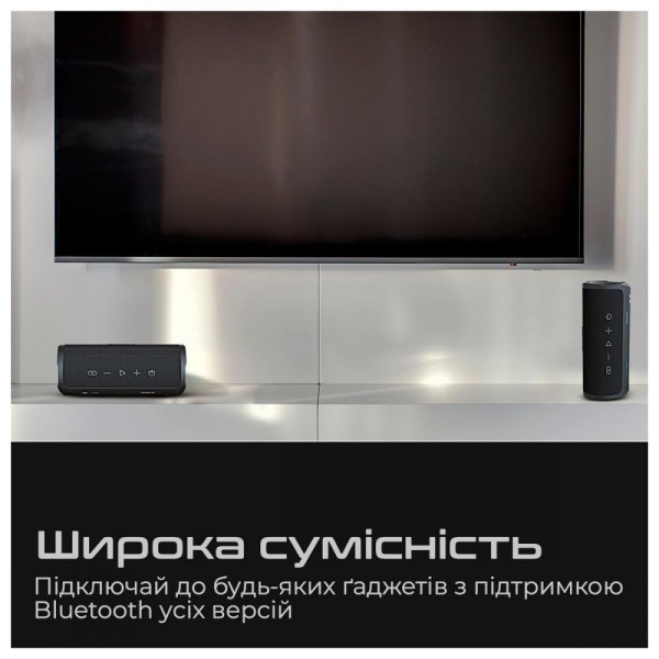 Портативна колонка HiFuture Ripple Black (ripple.black.)