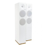 Tangent Spectrum X6 Pair White satin