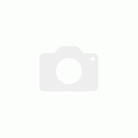 Amica FK2425.4UNTX