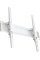 Настенное крепление CHARMOUNT TV04T White
