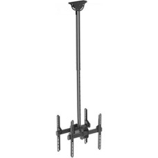 iTech Celb-Duo-54L