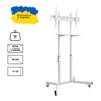 Sector T10 White