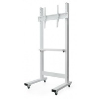 Sector T6 White