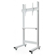 Sector T6 White