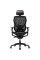 Комп'ютерне крісло для геймера Lorgar Grace 855 Black (LRG-CHR855B)