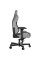 Комп'ютерне крісло для геймера Anda Seat T-Pro 2 XL gray/black (AD12XLLA-01-GB-F)