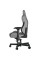 Комп'ютерне крісло для геймера Anda Seat T-Pro 2 XL gray/black (AD12XLLA-01-GB-F)