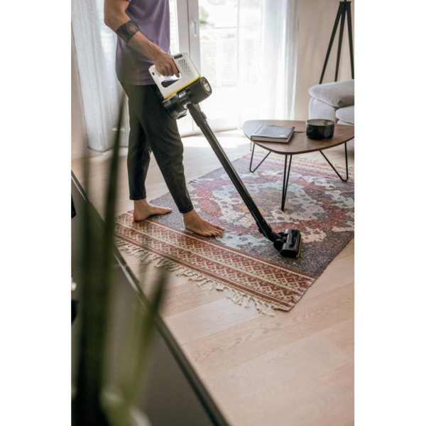 Вертикальний + ручний пилосос (2в1) Karcher VC 4 Cordless myHome Pet (1.198-633.0)