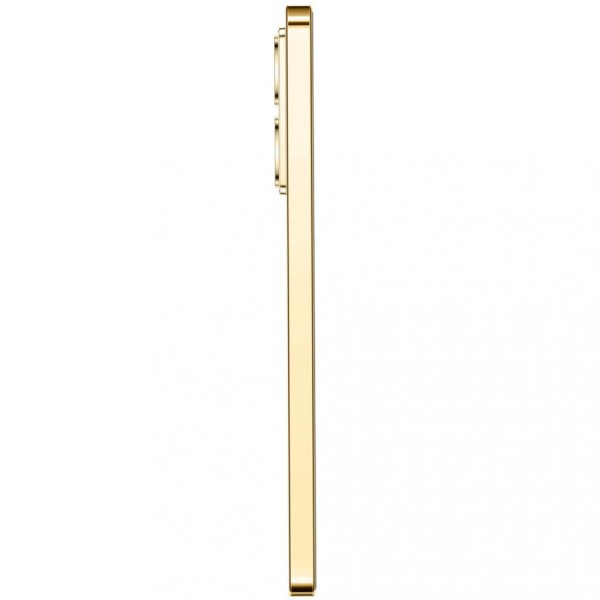 Смартфон Infinix Note 40 8/256GB Titan Gold (4894947019197)