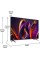 Телевізор Hisense 55E79NQ PRO