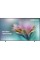 Телевізор Samsung QE50LS03F