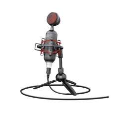 Trust GXT 244 Buzz USB Streaming Microphone (23466)