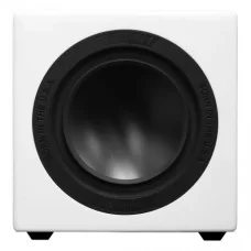 EarthQuake MiniMe-P63 White