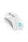 Миша Lenovo Legion M600 Wireless Gaming Mouse Stingray (GY51C96033)